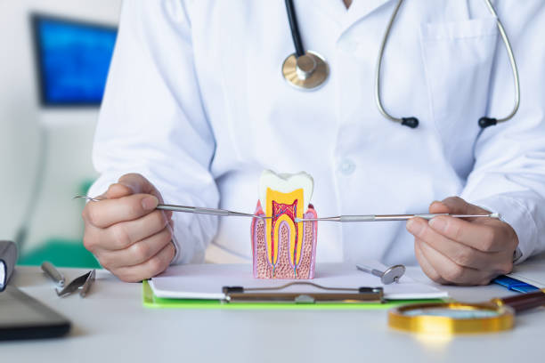 Best Emergency Dentist for Special Needs Patients in Salem, WV
